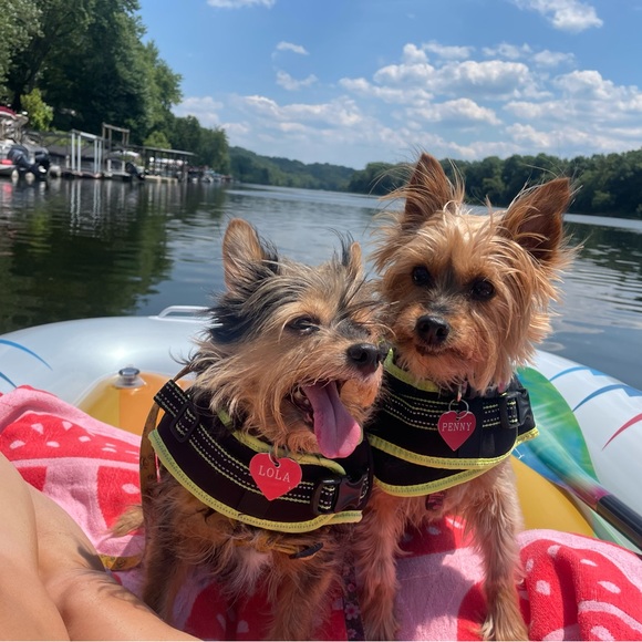 Meet your Posher, Jaime - Picture 5 of 5